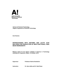 bioprocessing with enzymes and lactic acid bacteria for