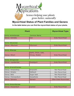 Mycorrhizal Status of Plant Families and Genera
