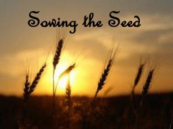 Sowing the Seed - Holy Rosary Website