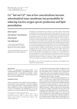 Cu2+ but not Cd2+ ions at low concentrations increase