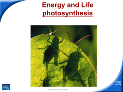 PPT Ch 08-1 - Honors Biology Overview