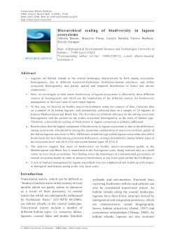 Hierarchical scaling of biodiversity in lagoon ecosystems