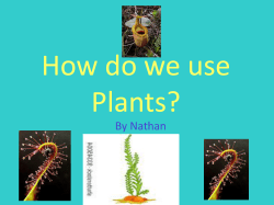Plants - TeacherWeb