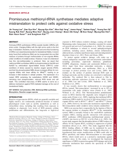 Promiscuous methionyl-tRNA synthetase mediates adaptive