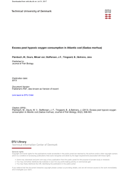 Excess post hypoxic oxygen consumption in Atlantic cod