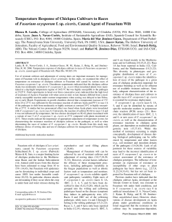 Temperature Response of Chickpea Cultivars to