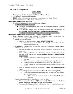 Large Plants - River-Lab