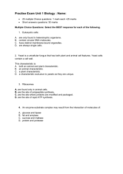 Unit 1 practise Exam