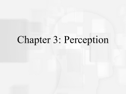 Chapter 4: Perception