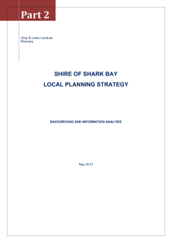 local planning strategy