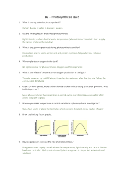 B2 &ndash; Photosynthesis Quiz