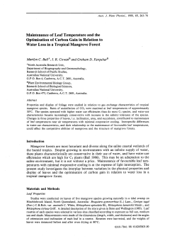 Maintenance of Leaf Temperature and the Optimisation of Carbon