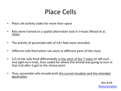 Place Cells
