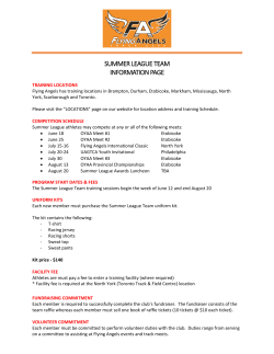 summer league team information page