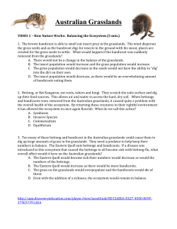 Dessert Ecosystem - Plain Local Schools