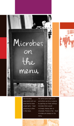 The microbes associated with our food tend to