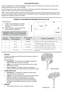 EXPLANATORY NOTES EXAMPLE OF INFORMATION REQUIRED