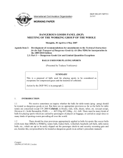 dangerous goods panel (dgp)