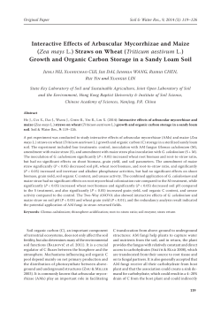 Interactive Effects of Arbuscular Mycorrhizae and Maize (Zea mays L