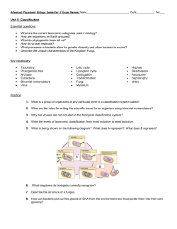 Honors Chemistry Semester 1 Exam Review