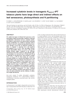 Increased cytokinin levels in transgenic PSAG12&ndash;IPT tobacco plants