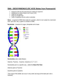 DNA - The Double Helix - Westgate Mennonite Collegiate