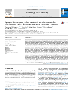 Increased belowground carbon inputs and warming
