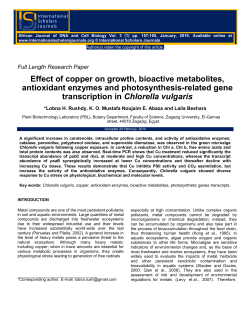 Effect of copper on growth, bioactive metabolites, antioxidant