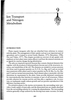 Ion Transport and Nitrogen Metabolism
