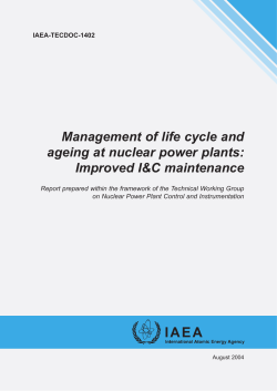 Management of life cycle and ageing at nuclear power plants