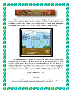 Carbon Cycle Notes