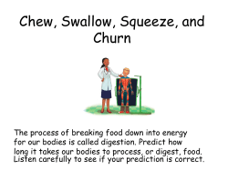 Chew, Swallow, Squeeze, and Churn