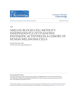 nm23-h1 blocks cell motility independently of its