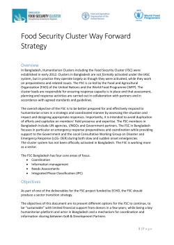 - Food Security Cluster