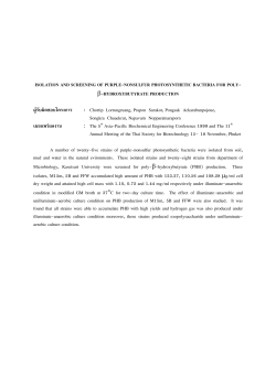 ISOLATION AND SCREENING OF PURPLE