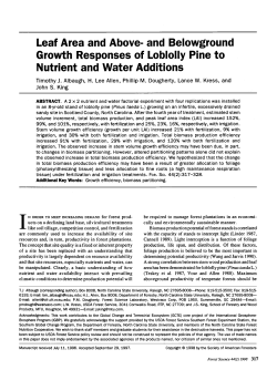 and Belowground Growth Responses of Loblolly Pine to Nutrient