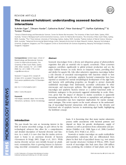 The seaweed holobiont: understanding seaweedbacteria interactions