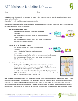 ATP Molecule Modeling Lab (1)