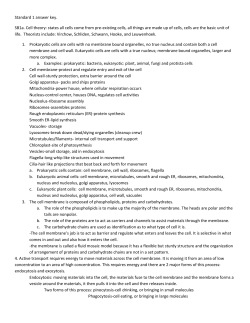 eoct study guide answer key for standards 1 and 2