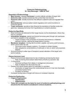 Endocrine Path Notes