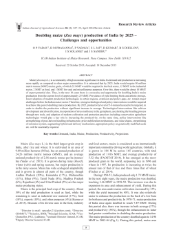 Doubling maize (Zea mays) production of India by 2025