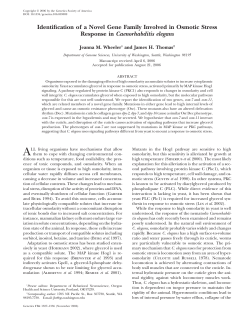 Identification of a Novel Gene Family Involved in Osmotic Stress