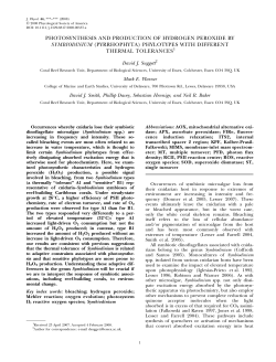 photosynthesis and production of hydrogen peroxide by symbiodinium