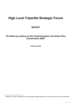 High Level Tripartite Strategic Forum
