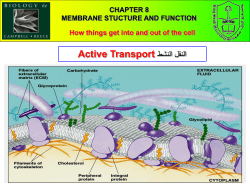 CHAPTER 8 MEMBRANE STUCTURE AND FUNCTION How things