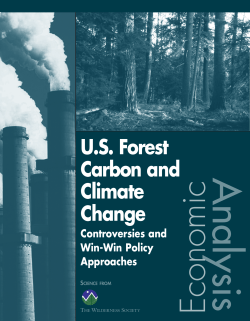 US Forest Carbon and Climate Change