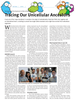 Tracing Our Unicellular Ancestors Tracing Our Unicellular Ancestors