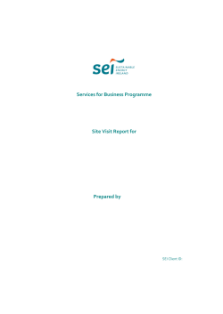 Site Visit Report Template