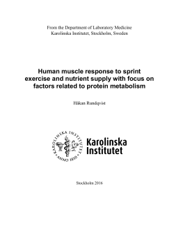 Human muscle response to sprint exercise and