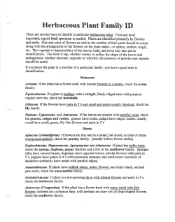 Herbaceous Plant Family ID - Oregon State University Extension